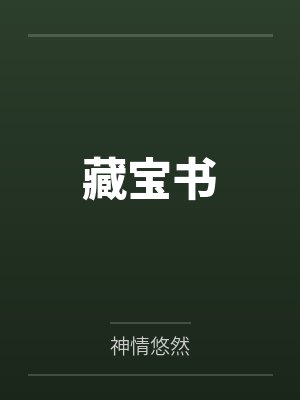 藏宝书 藏宝书