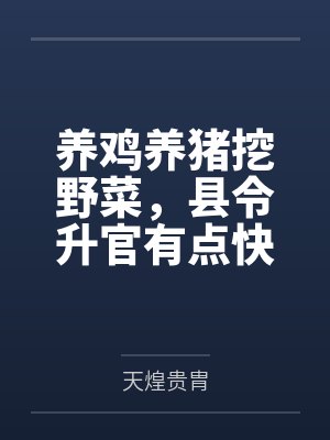 杨少峰个人简历 杨少峰个人简历